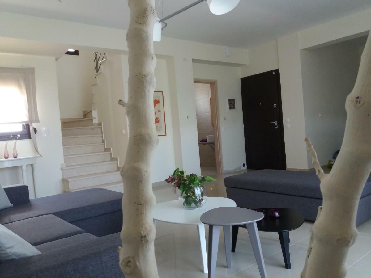 Villa Alkyoni House In Áfitos Extérieur photo